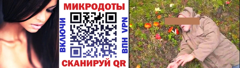 хочу наркоту  Гулькевичи  Псилоцибиновые грибы прущие грибы 